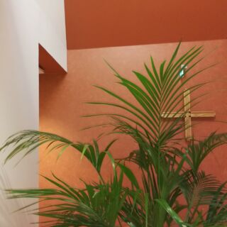 Kuva Espoon tuomiokapitulin virastotiloista, etualalla palmu ja taustalla seinällä puinen risti